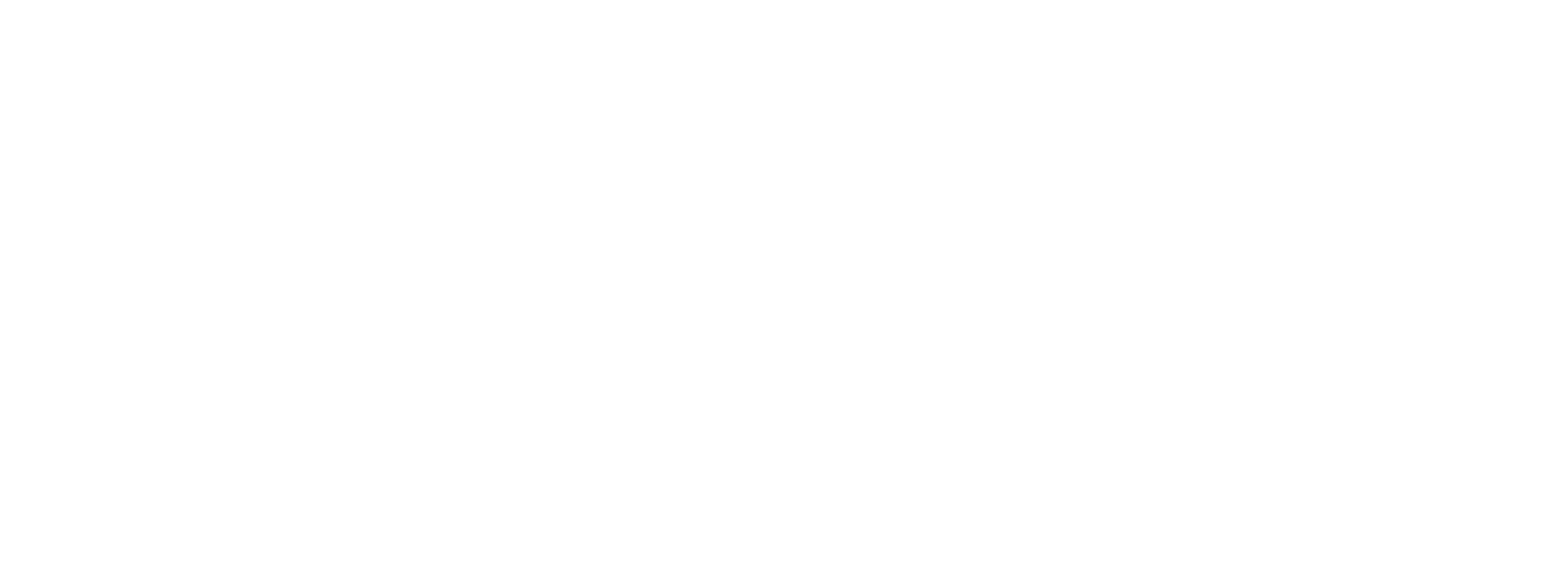 BLIS GLOBAL